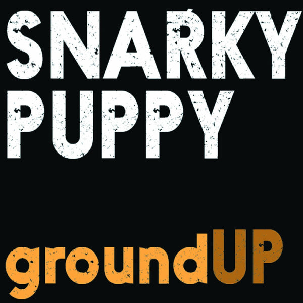 Snarky Puppy - We Like It Here