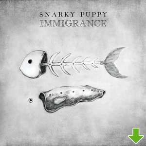 Immigrance [FLAC Download]